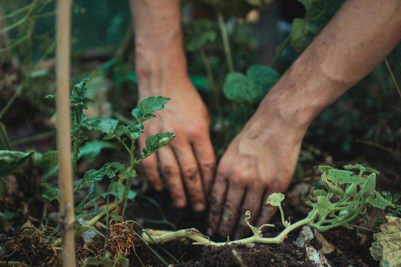 Spring Refresh Ideas for a Lush, Welcoming Garden