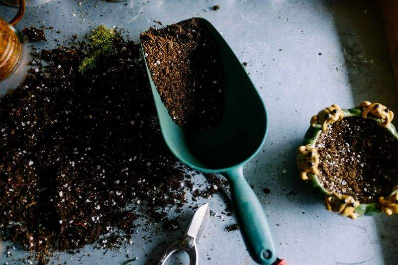 Simple Ways to Keep Your Garden Healthy Through Winter