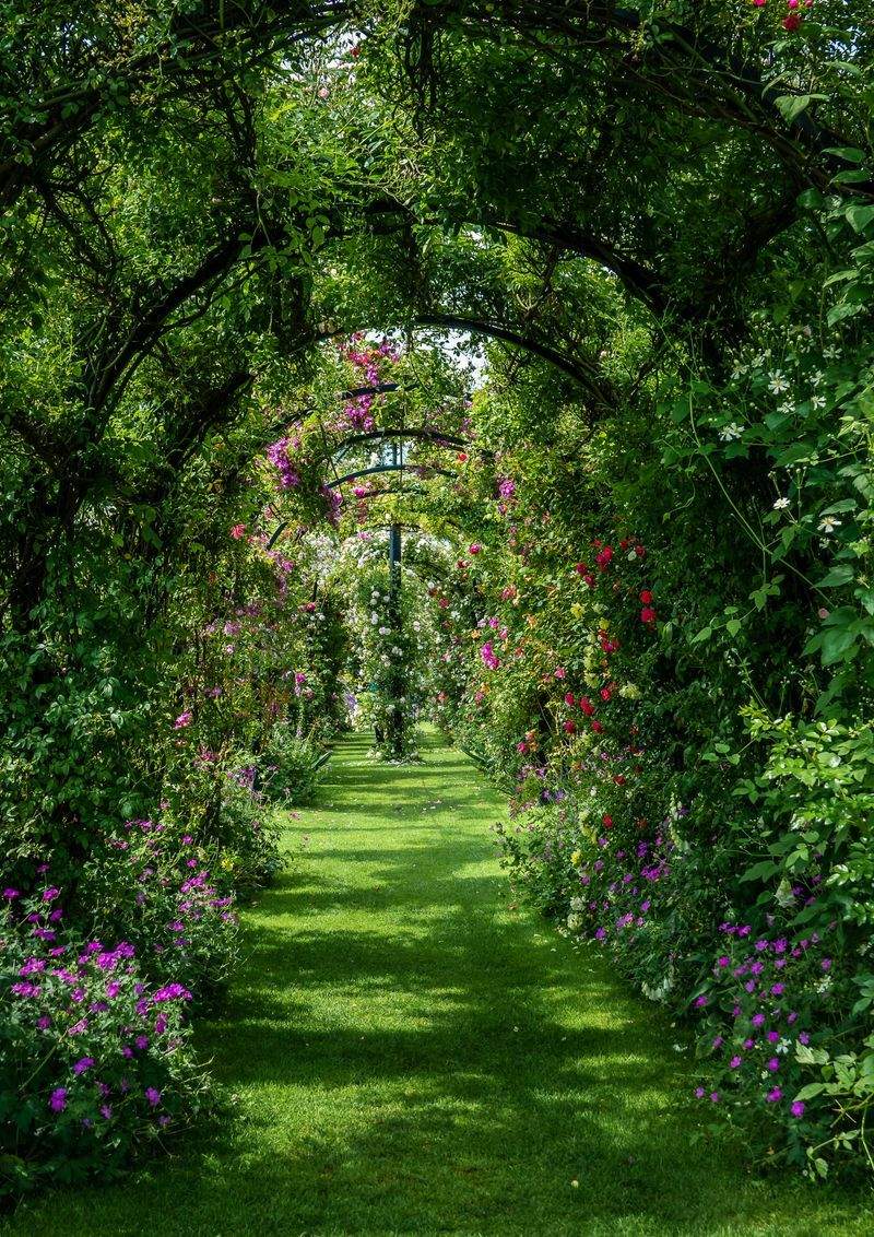 Maple Bloom Garden Co. 12
